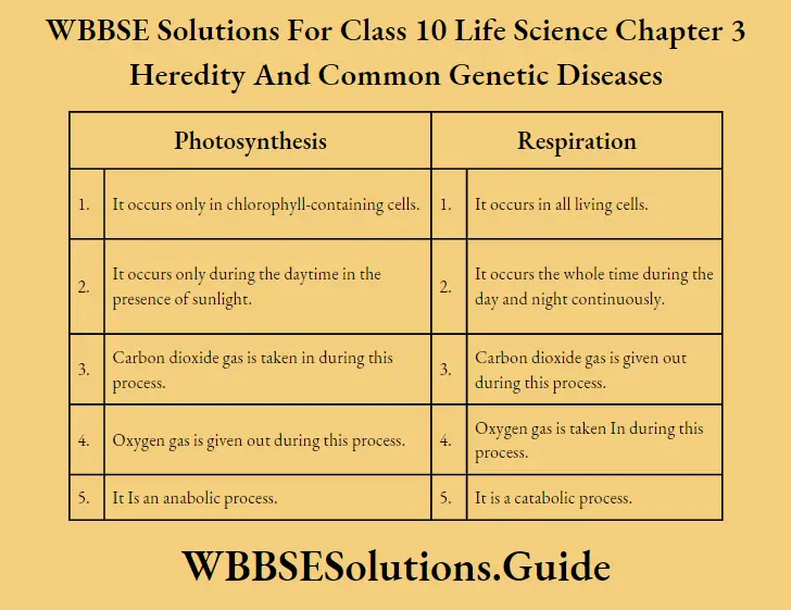 WBBSE Solutions Class 10 Life Science Chapter 3 Heredity And Common Genetic Diseases Differences Between Photosynthesis And Respiration.