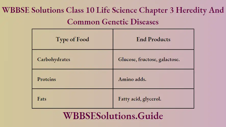 WBBSE Solutions Class 10 Life Science Chapter 3 Heredity And Common Genetic Diseases Short Answer Questions End Products Of Digestion