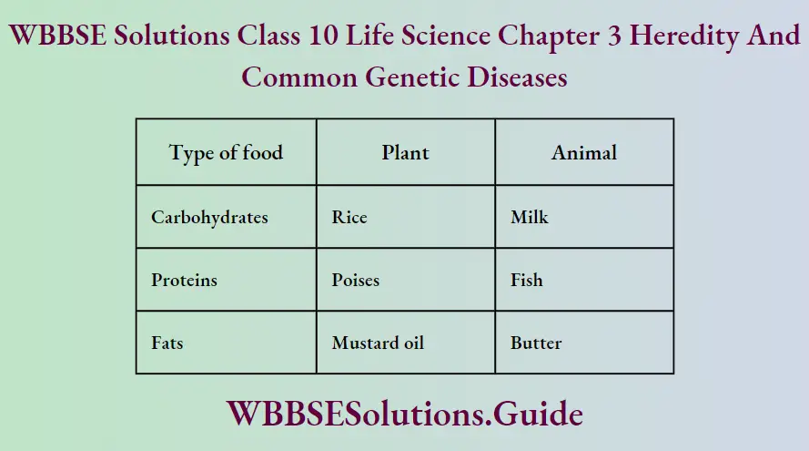 WBBSE Solutions Class 10 Life Science Chapter 3 Heredity And Common Genetic Diseases Short Answer Questions The End Products Of Digestion