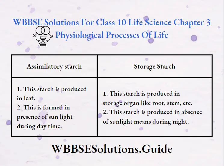 WBBSE Solutions Class 10 Life Science Chapter 3 Heredity And Common Genetic Diseases Short Answer Question Assimilatory Strach And Storage Stage