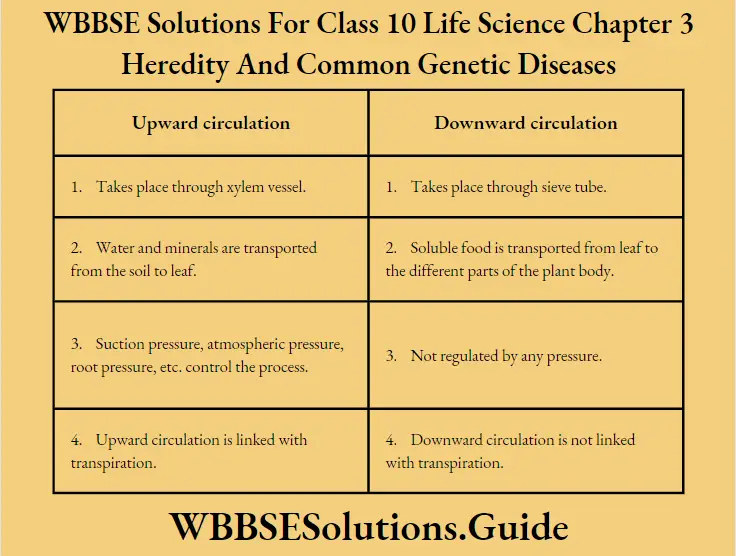 WBBSE Solutions Class 10 Life Science Chapter 3 Heredity And Common Genetic Diseases Short Answer Question Difference Between Upward Circulation And Downward Circulation
