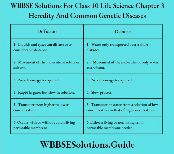 WBBSE Solutions Class 10 Life Science Chapter 3 Heredity And Common Genetic Diseases Short Answer Question Different Between Diffusion And Omosis
