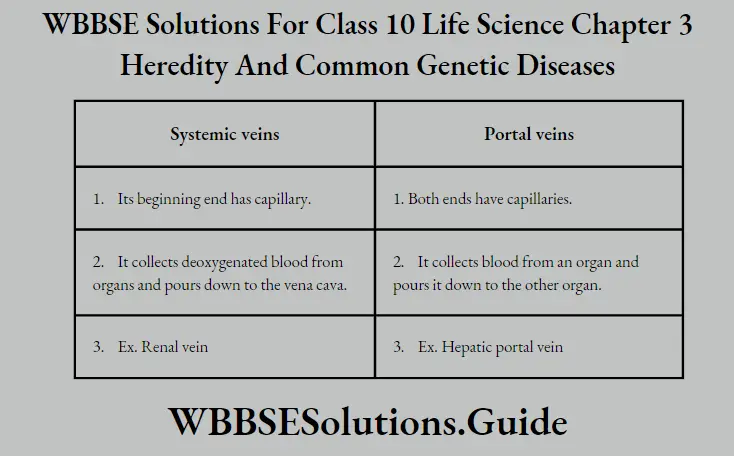 WBBSE Solutions Class 10 Life Science Chapter 3 Heredity And Common Genetic Diseases Short Answer Question Systemic And Portal Veins