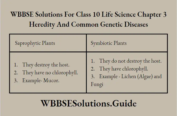 WBBSE Solutions Class 10 Life Science Chapter 3 Heredity And Common Genetic Diseases Short Answer Question Two Difference Between Saprophytix And Symbiotic Plants