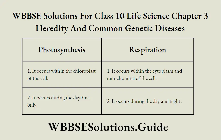 WBBSE Solutions Class 10 Life Science Chapter 3 Heredity And Common Genetic Diseases Short Answer Question Two differences Between Photosynthesis And Respiration