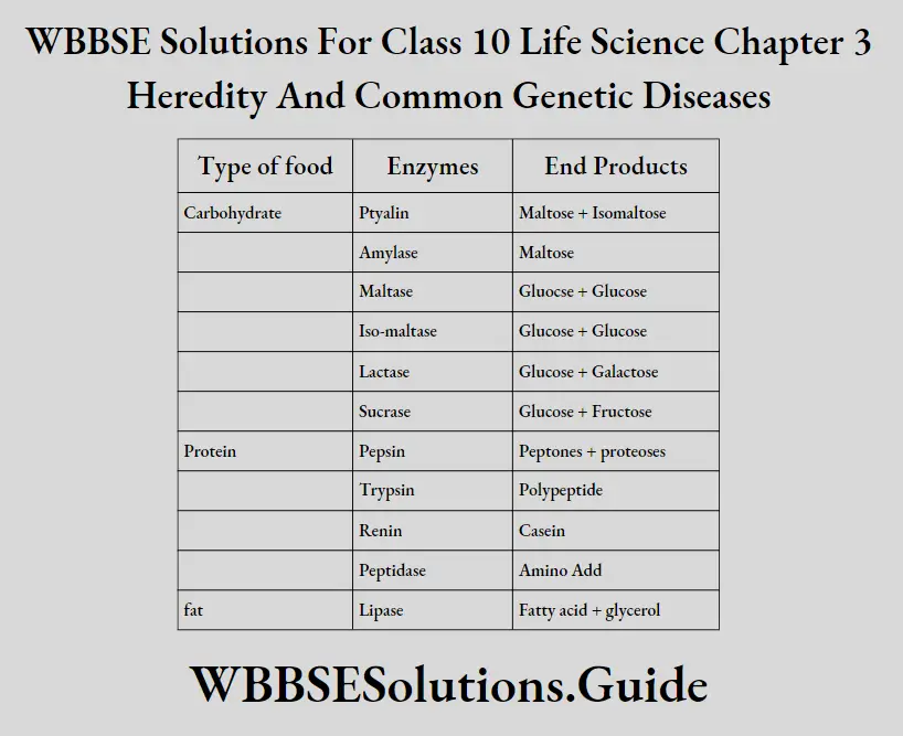 WBBSE Solutions Class 10 Life Science Chapter 3 Heredity And Common Genetic Diseases Short Answer Question Types Of Food