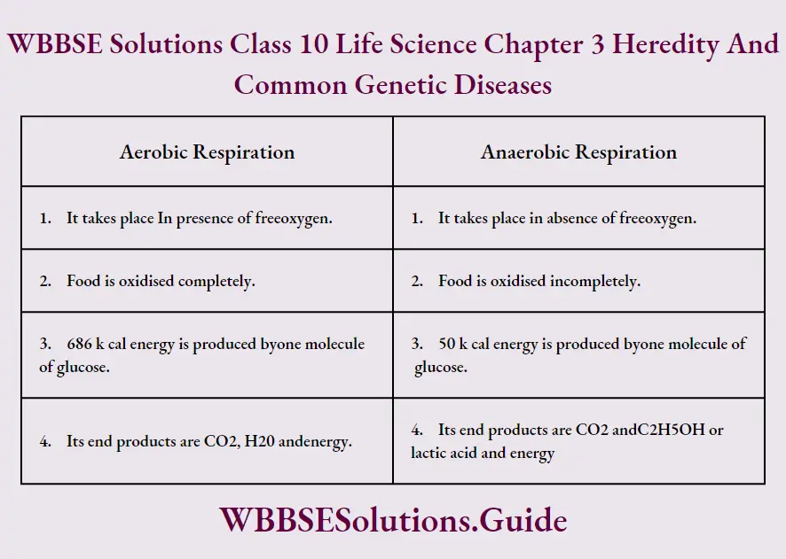 WBBSE Solutions Class 10 Life Science Chapter 3 Heredity And Common Genetic Diseases Short Answer Questions Aerobic Respiration And Anaerobic Respiration