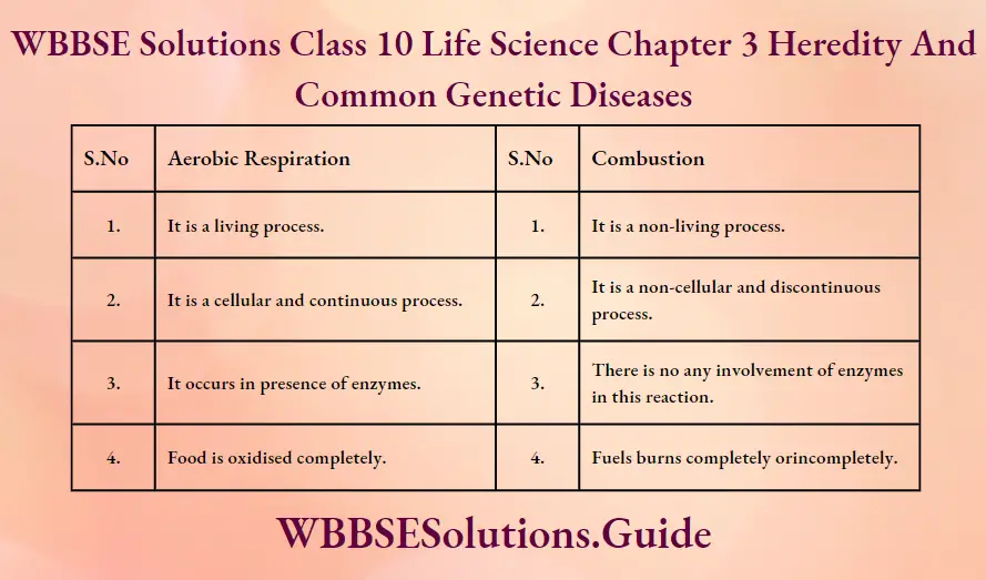 WBBSE Solutions Class 10 Life Science Chapter 3 Heredity And Common Genetic Diseases Short Answer Questions Aerobic Respiration And Combustion