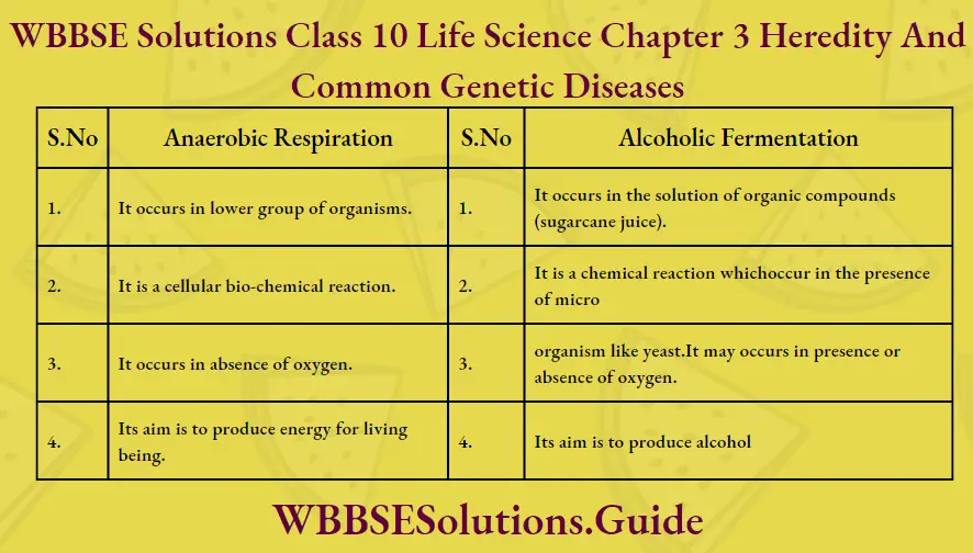 WBBSE Solutions Class 10 Life Science Chapter 3 Heredity And Common Genetic Diseases Short Answer Questions Anaerobic Respiration And Alcoholic Fermentation