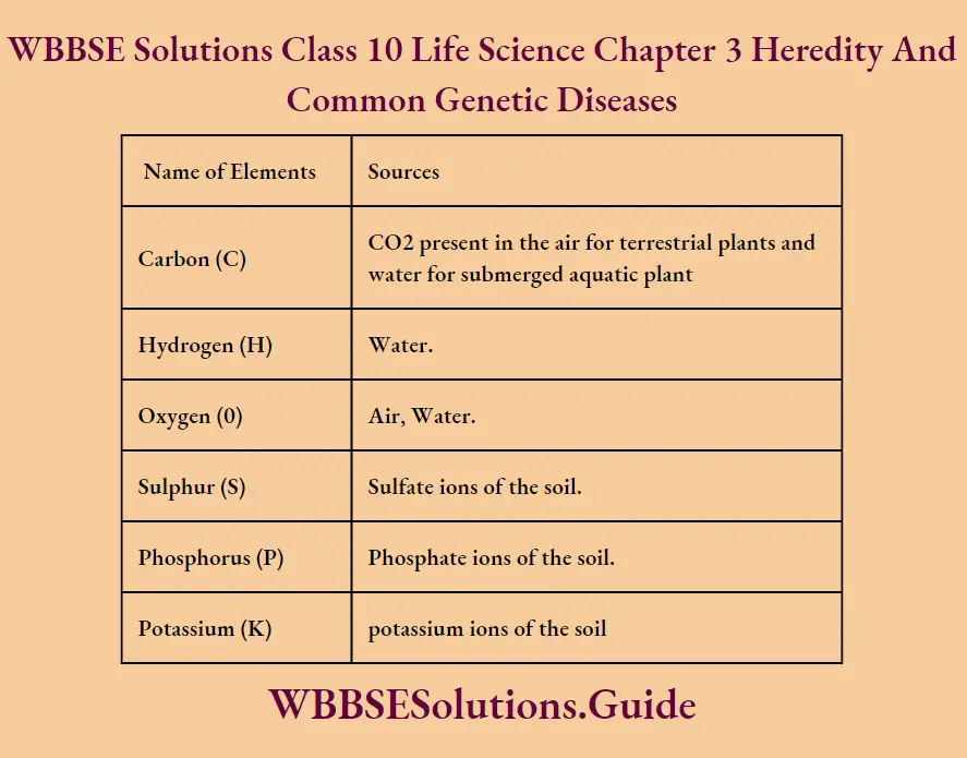 WBBSE Solutions Class 10 Life Science Chapter 3 Heredity And Common Genetic Diseases Short Answer Questions Essential Macro Elements