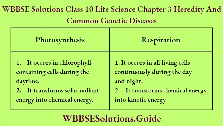 WBBSE Solutions Class 10 Life Science Chapter 3 Heredity And Common Genetic Diseases Short Answer Questions Photosynthesis And Respiration