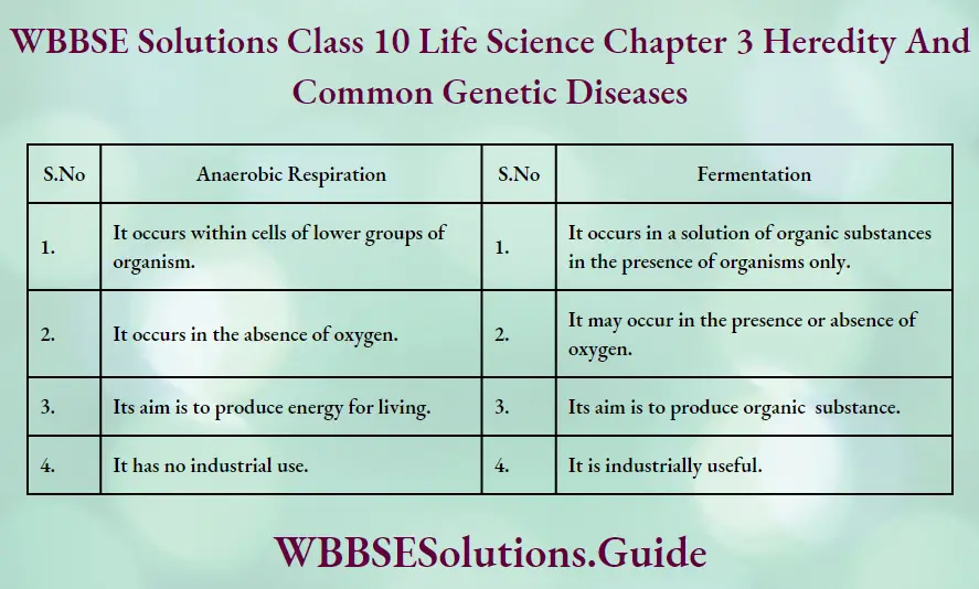 WBBSE Solutions Class 10 Life Science Chapter 3 Heredity And Common Genetic Diseases Short Answer QuestionsAnaerobic Respiration Anaerobic Respiration and Fermentation Fermentation
