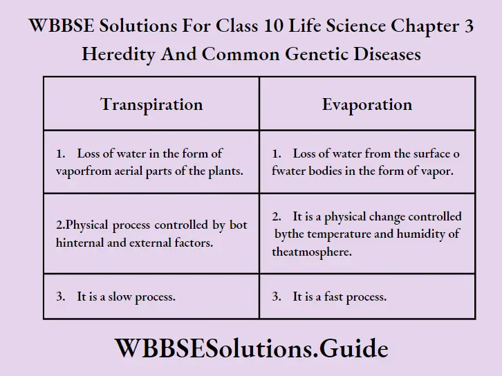 WBBSE Solutions Class 10 Life Science Chapter 3 Heredity And Common Genetic Diseases Three Differences Between Evaporation And Transpiration