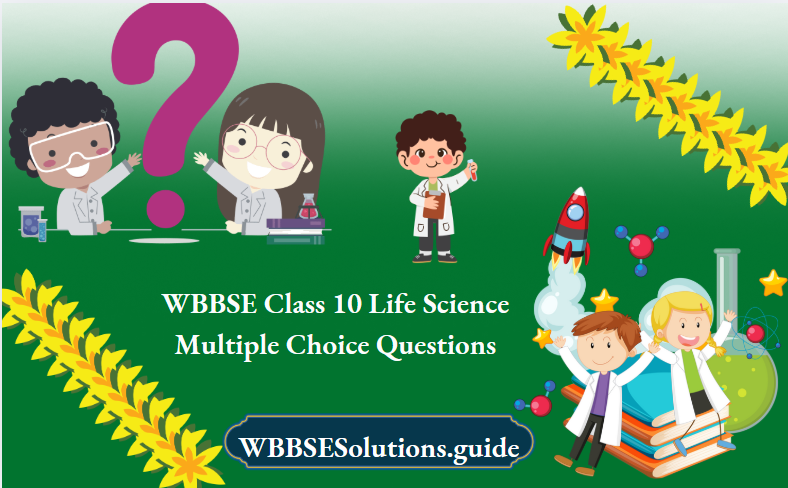 WBBSE Class 10 Life Science Multiple Choice Questions