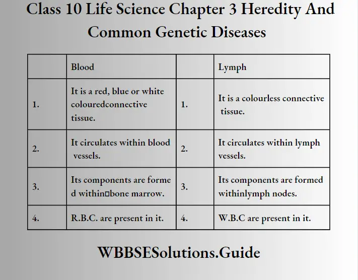 WBBSE Solutions Class 10 Life Science Chapter 3 Heredity And Common Genetic Diseases Erthryocyte in man and Leucocyte in ma