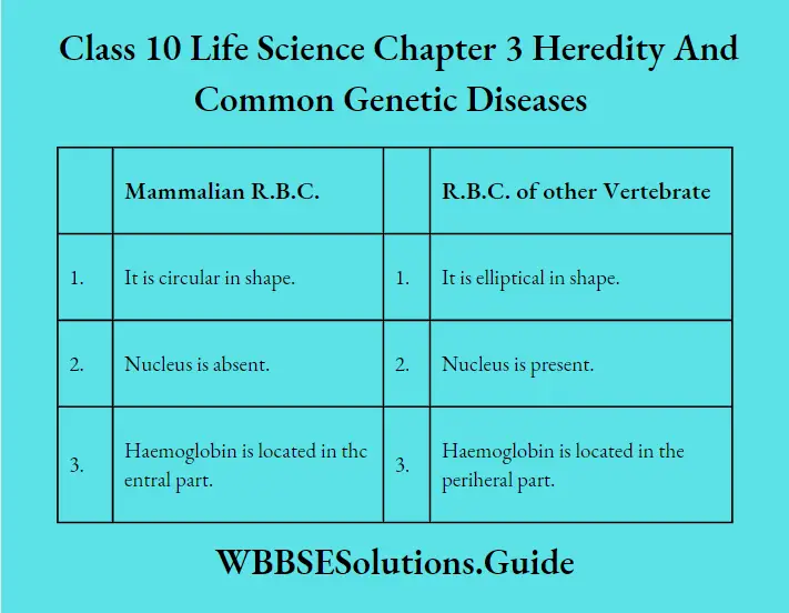 WBBSE Solutions Class 10 Life Science Chapter 3 Heredity And Common Genetic Diseases RBC And RBC of Other Vertebrates