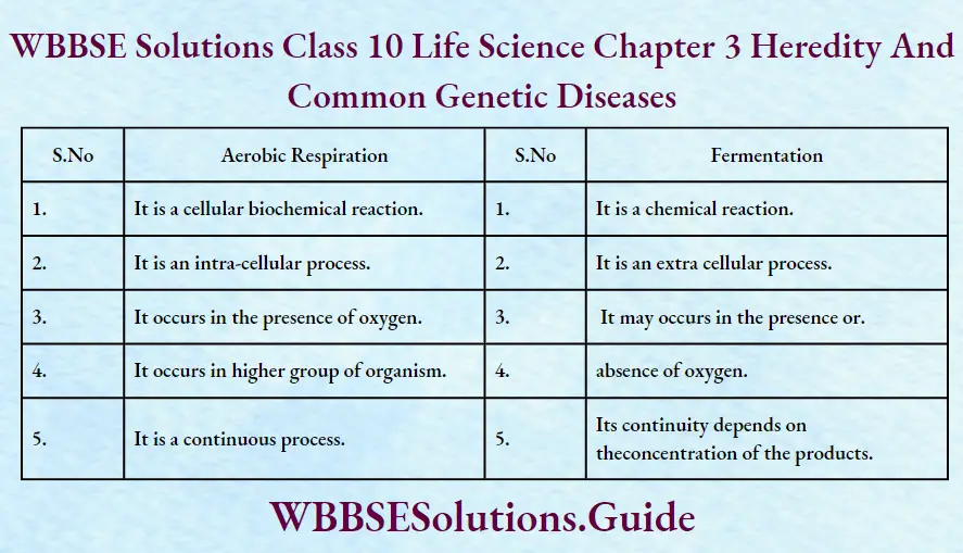 WBBSE Solutions Class 10 Life Science Chapter 3 Heredity And Common Genetic Diseases Short Answer Questions Aerobic Respiration And Fermentation