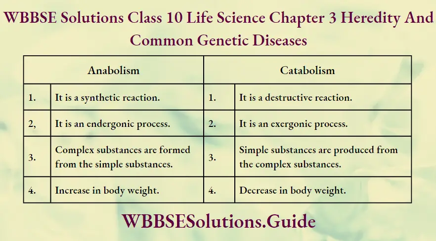 WBBSE Solutions Class 10 Life Science Chapter 3 Heredity And Common Genetic Diseases Short Answer Questions Anabolism and Catabolism