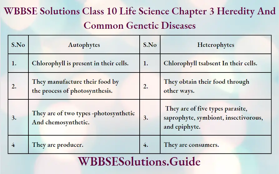WBBSE Solutions Class 10 Life Science Chapter 3 Heredity And Common Genetic Diseases Short Answer Questions Autophytes And Heterophytes