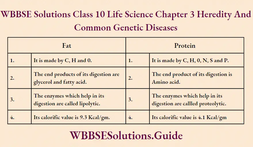 WBBSE Solutions Class 10 Life Science Chapter 3 Heredity And Common Genetic Diseases Short Answer Questions Fat And Protein