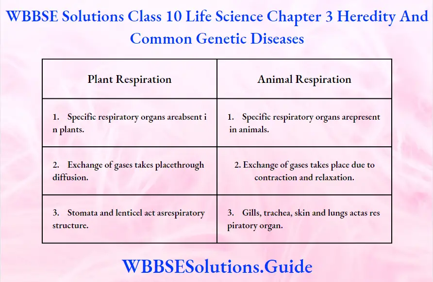 WBBSE Solutions Class 10 Life Science Chapter 3 Heredity And Common Genetic Diseases Short Answer Questions Plant Respiration And Animal Respiration