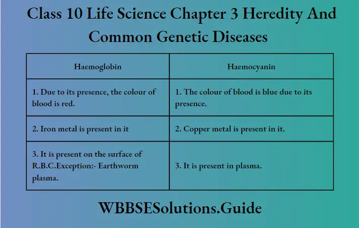 WBBSE Solutions For Class 10 Life Science Chapter 3 Heredity And Common Genetic Haemoglobin and Haemocyanin
